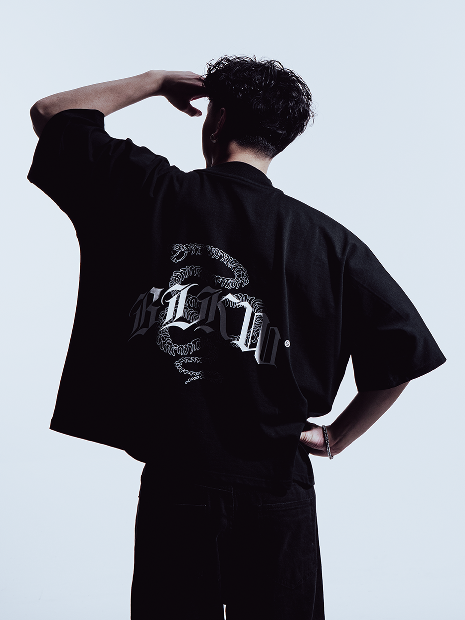 SNK6